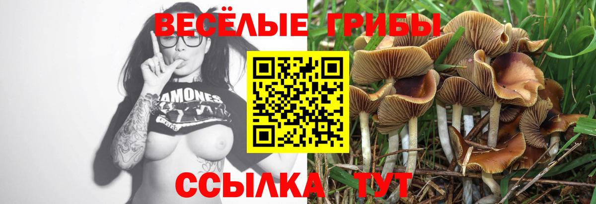 Псилоцибиновые грибы Psilocybine cubensis  купить наркоту  Бахчисарай  Вход с VPN 